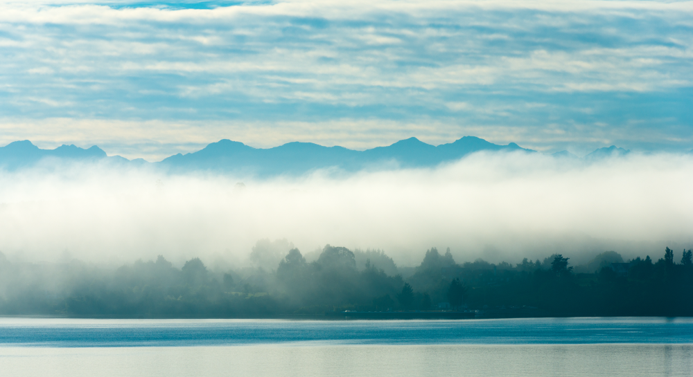 Banner Hero - Luz Osorno