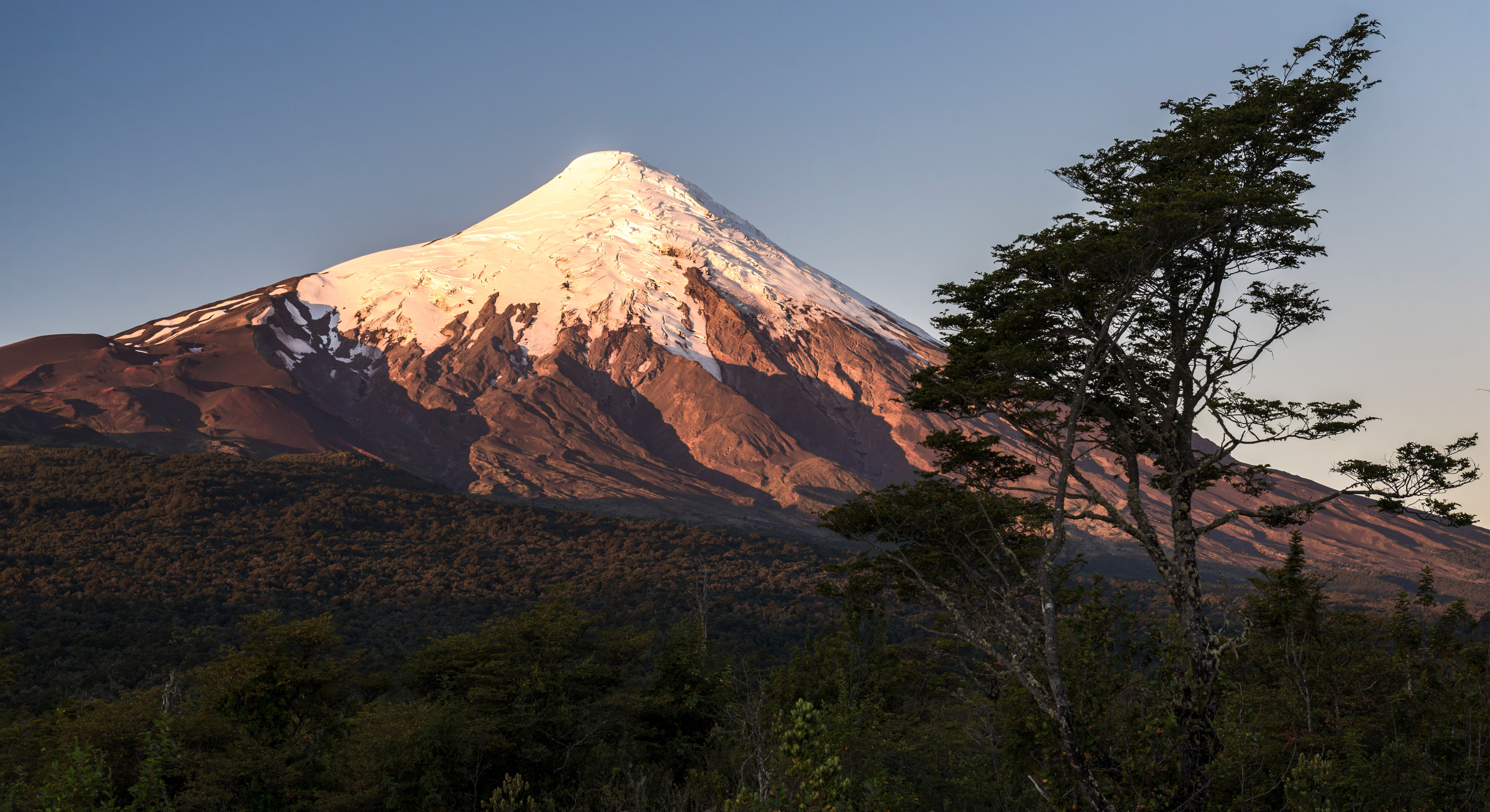 Banner Hero - Luz Osorno