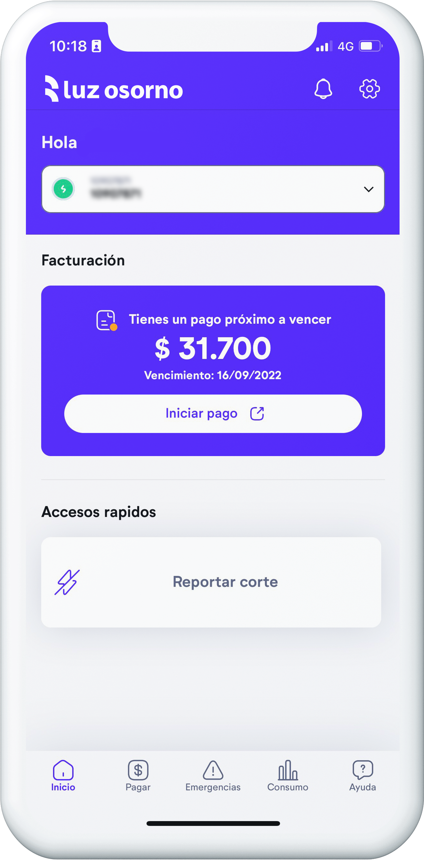 vencimiento-de-boleta-luzosorno